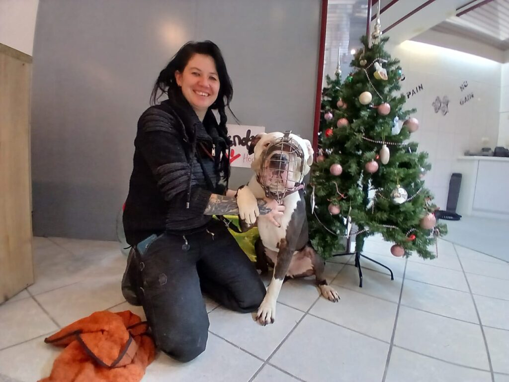 Spende für Hellhound Fundation