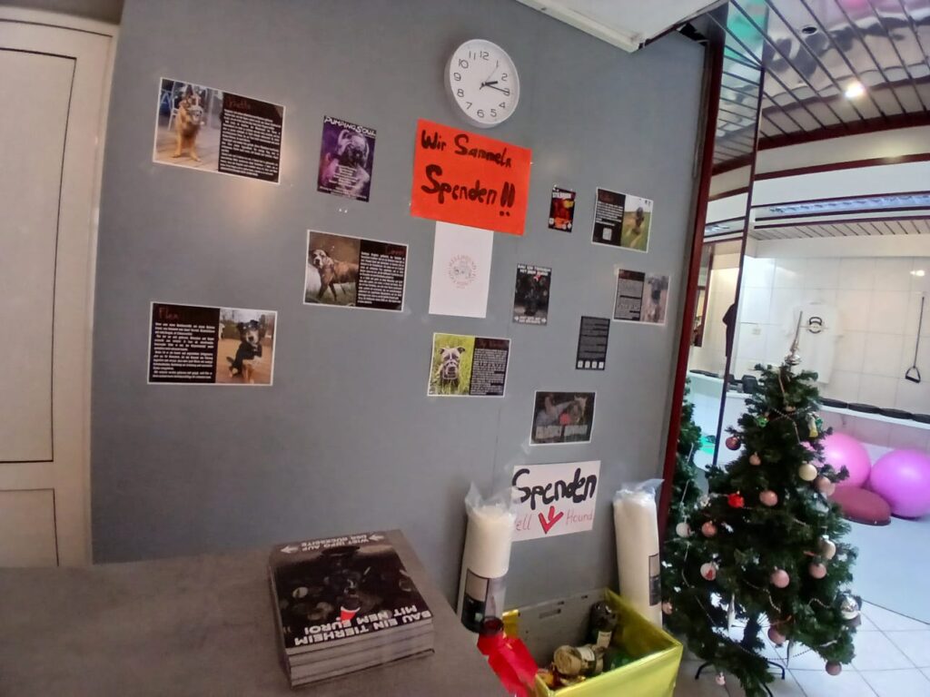 Spende für Hellhound Fundation