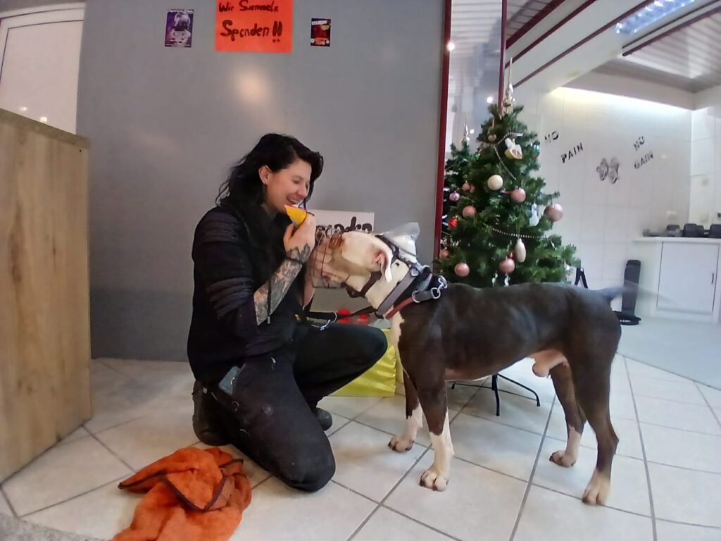 Spende für Hellhound Fundation